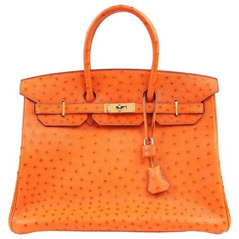 hermes bag ostrich skin price|Meer.